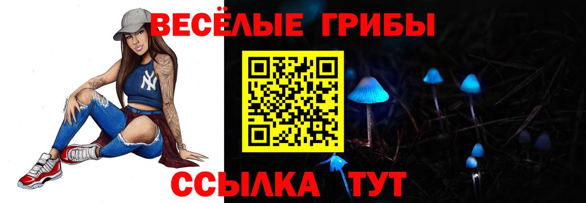 Галлюциногенные грибы Psilocybe Вышний Волочёк